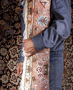 قالی لول در قالیشویی اراک